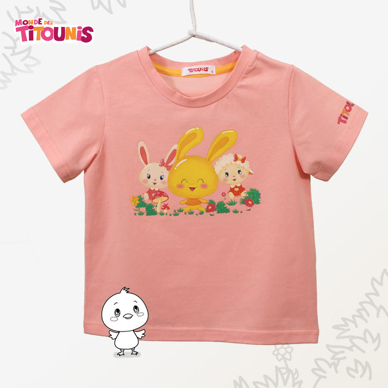 TS2113026 兔與羊