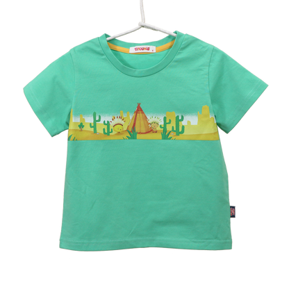 TS2113034  印第安