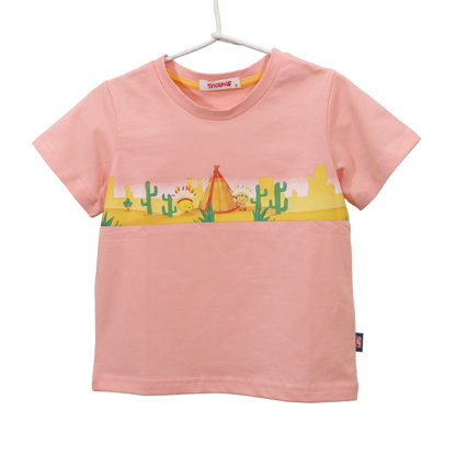 TS2113034  印第安